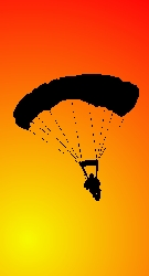 Skydive in Silhouette